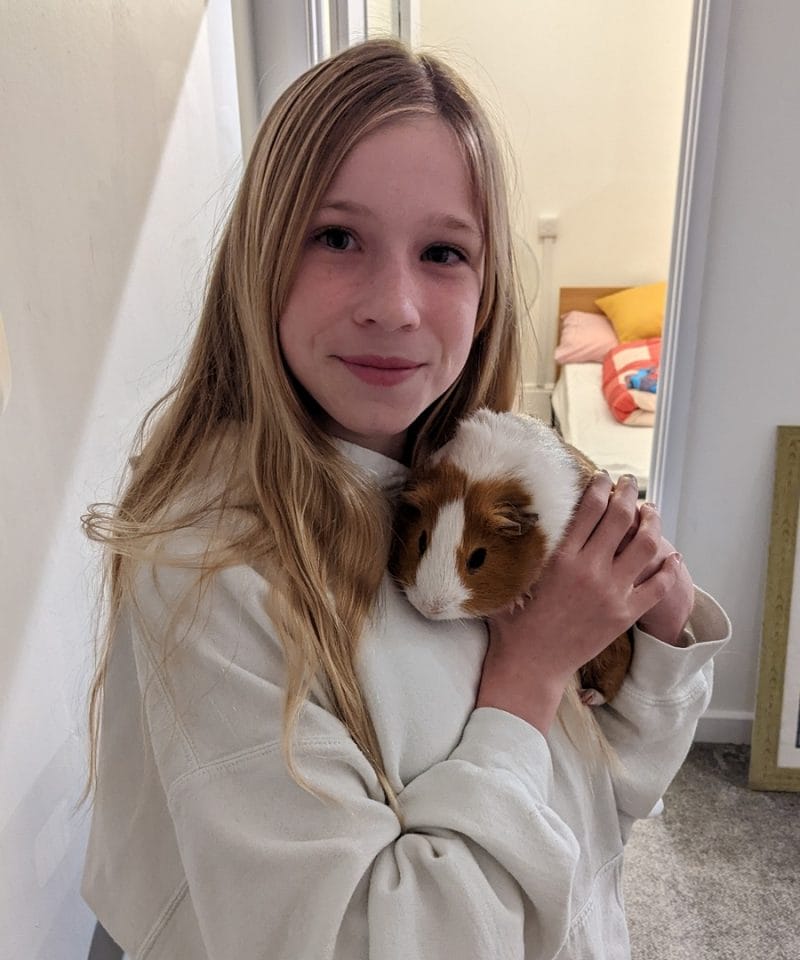 Pinewood boarder cuddling guinea pig