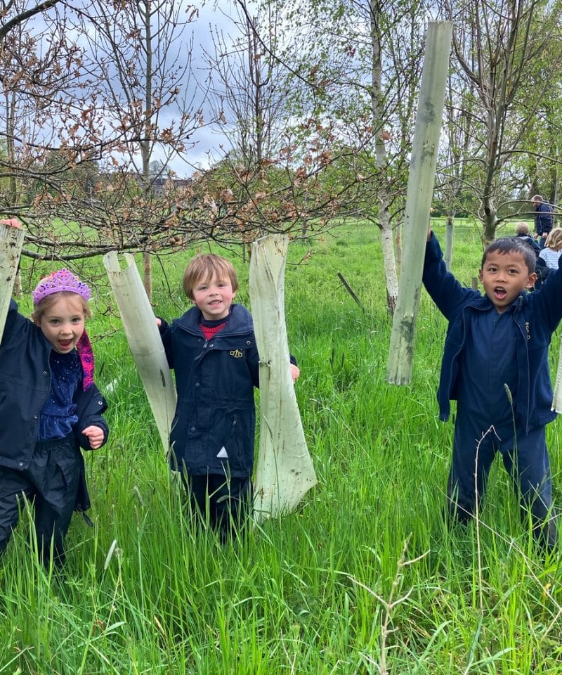 Pinewood Coronation legacy protecting the environment