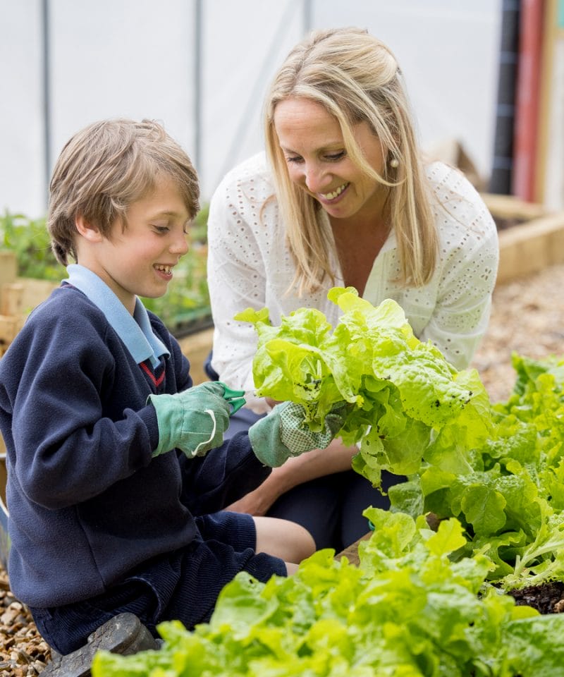 Pinewood Prep School SKILLS Programme gardening