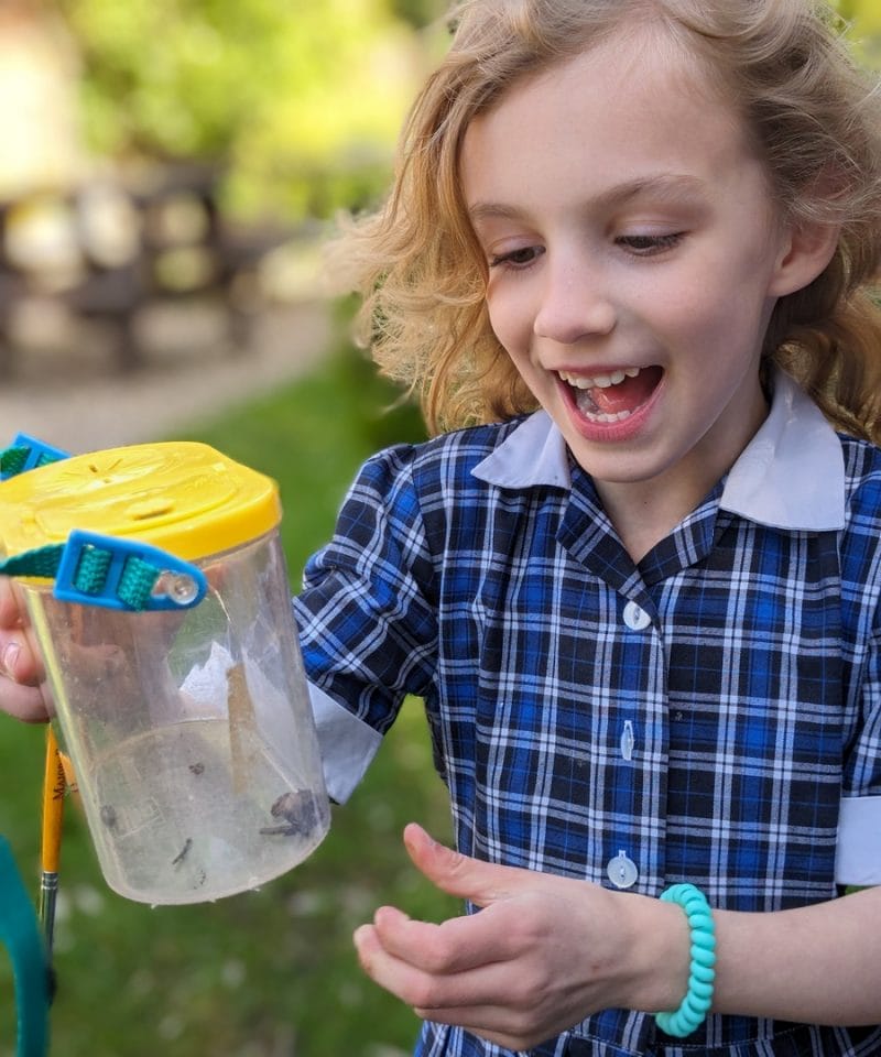 Pinewood Prep School Year 2 Minibeast Safari