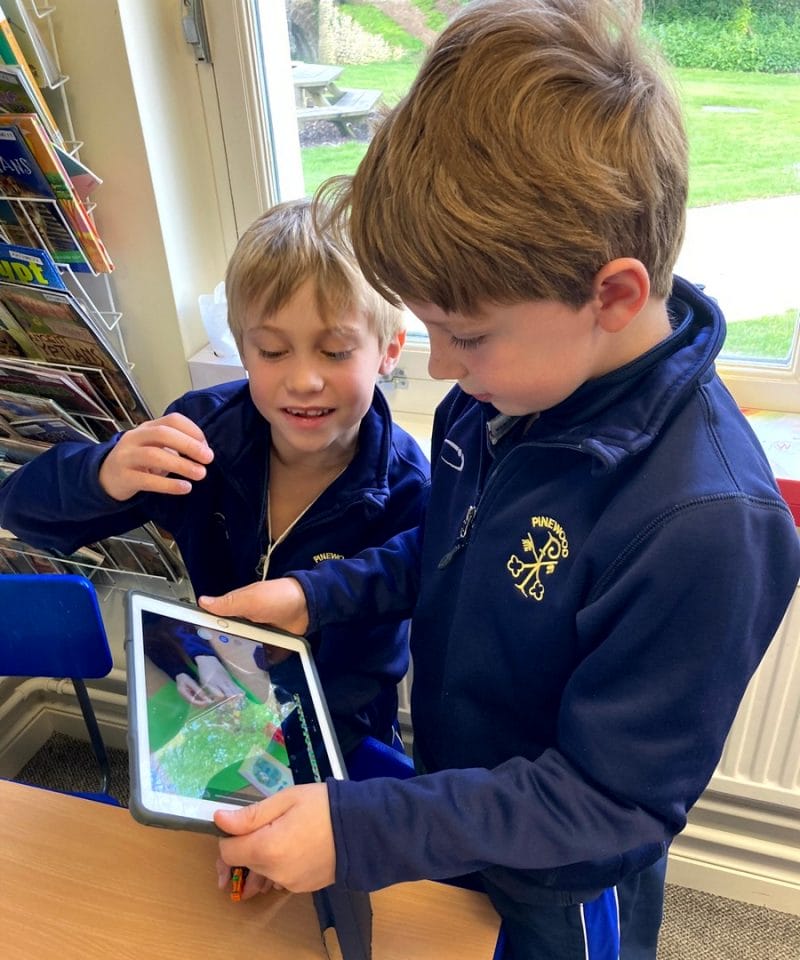 Pinewood Prep School Values Curiosity