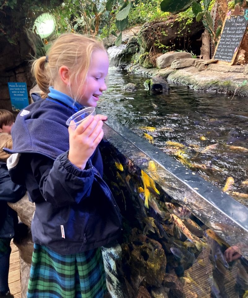 Pinewood Prep School Year 3 trip to Bristol Aquarium