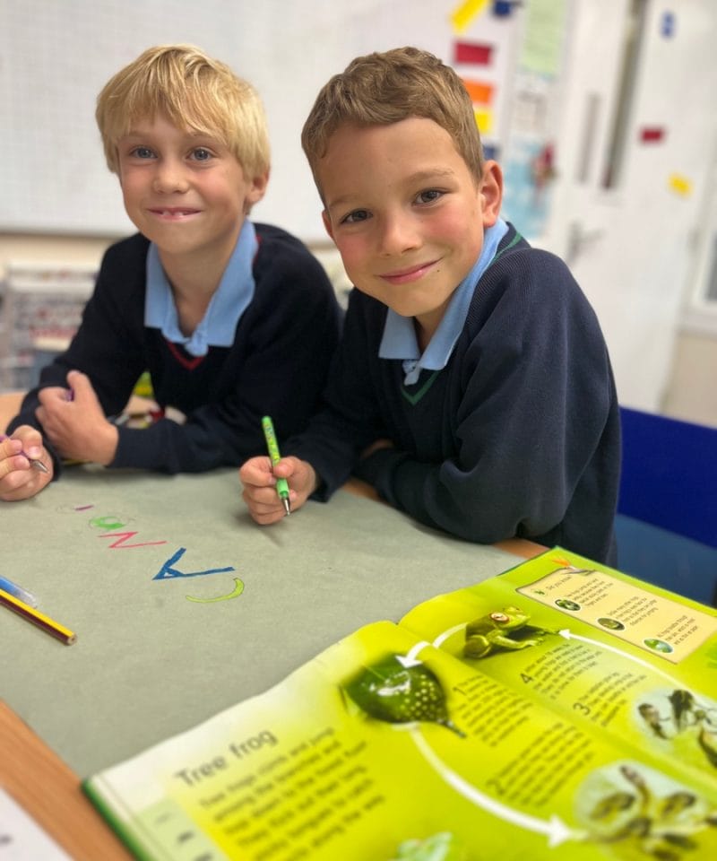 Pinewood Prep School Year 4 Geography rainforest posters
