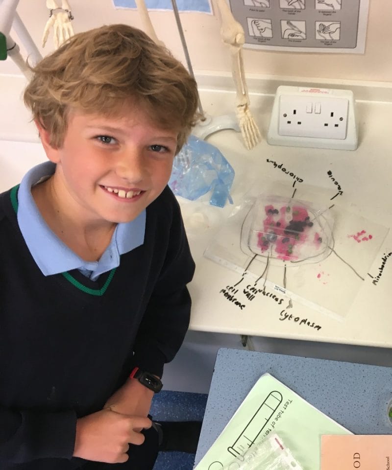 Pinewood prep school Year 6 boy learning about cells in science lesson