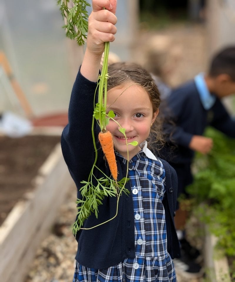 Pinewood Pre-Prep gardening